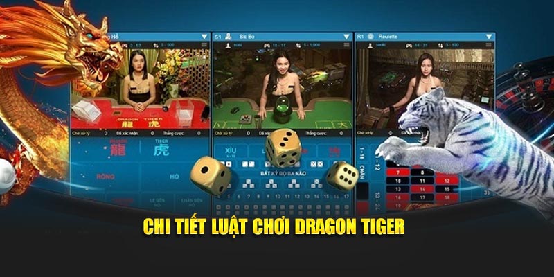 Chi tiết luật chơi Dragon Tiger