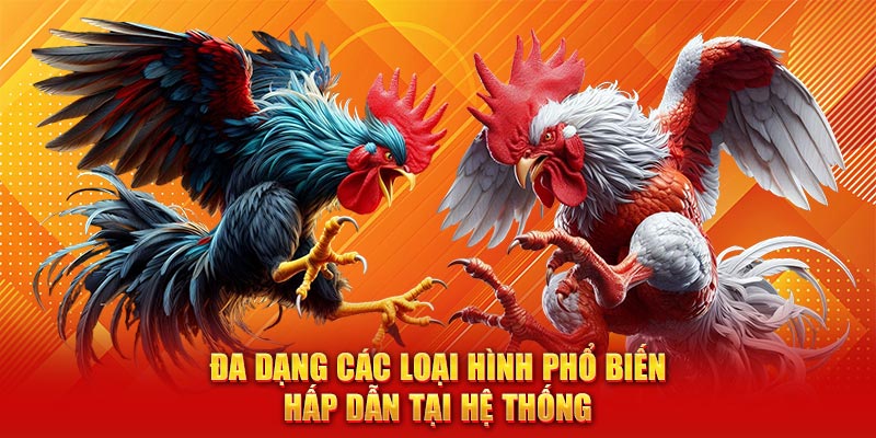 Đa dạng các loại hình phổ biến hấp dẫn tại hệ thống