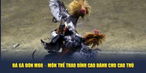Đá gà đòn