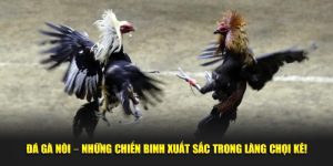 Đá gà nòi