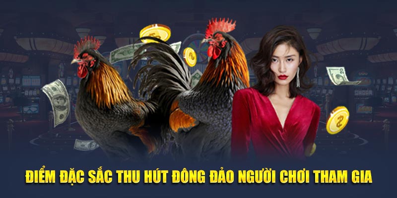 Điểm đặc sắc thu hút đông đảo người chơi tham gia
