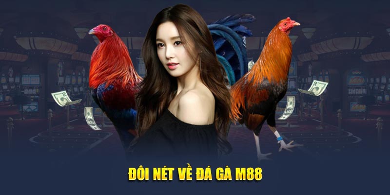 Đôi nét về đá gà M88