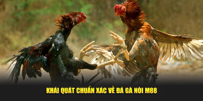 Khái quát chuẩn xác về đá gà nòi M88