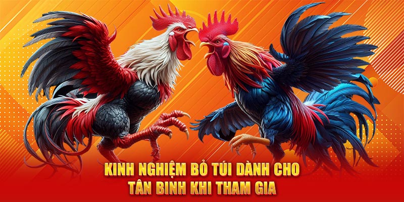 Kinh nghiệm bỏ túi dành cho tân binh khi tham gia