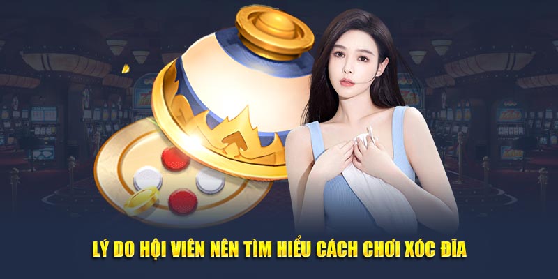 Lý do hội viên nên tìm hiểu cách chơi xóc đĩa