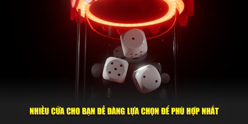 Nhiều cửa cho bạn dễ dàng lựa chọn để phù hợp nhất