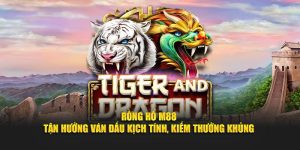 Rồng Hổ