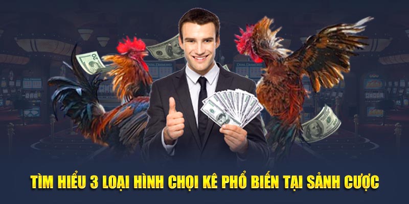 Tìm hiểu 3 loại hình chọi kê phổ biến tại sảnh cược