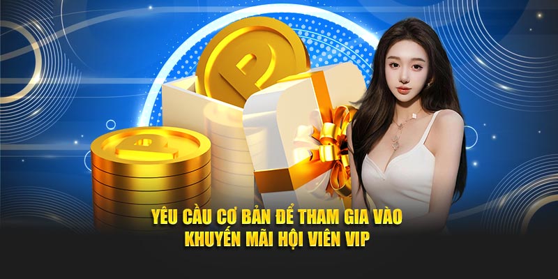 Yêu cầu cơ bản để tham gia vào khuyến mãi hội viên VIP